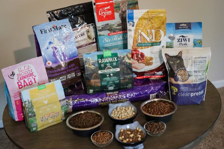 Best-Dry-Cat-Foods-Review1