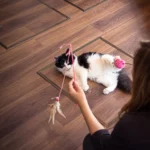 Cover_b49e7091-b837-46bb-8d0d-bd453f58f8ad