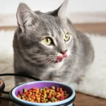 Cropped-AdobeStock_140702978