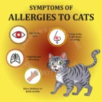 SYMPTOMS-OF-ALLERGIES-TO-CATS-WEB
