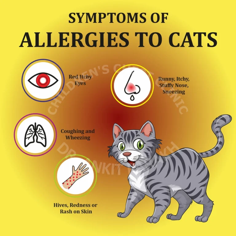 SYMPTOMS-OF-ALLERGIES-TO-CATS-WEB