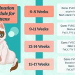 kitten-vaccination-schedule-4165446_COLOR-39a9db76d8ae4f7f9118aafa746e4a1d
