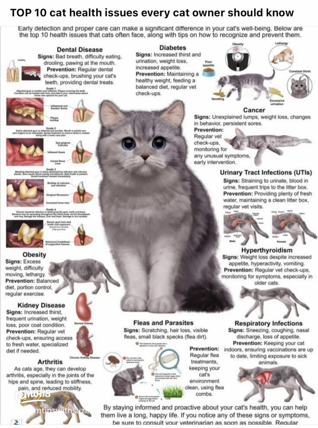 o0AIASSZAZbnIVerL2HBvIQGDAfqQA5EuWedJL~tplv-tej9nj120t-text-logo_QG1vbXRpcHN3aXRoc3V6aW1hcmk=_q75