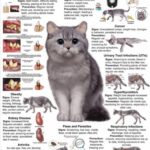 o0AIASSZAZbnIVerL2HBvIQGDAfqQA5EuWedJL~tplv-tej9nj120t-text-logo_QG1vbXRpcHN3aXRoc3V6aW1hcmk=_q75