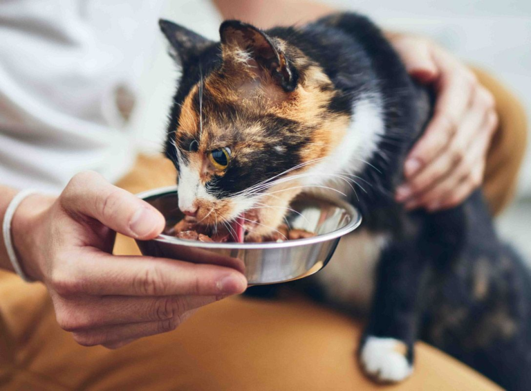 vf-333-article-5-gb-figure-2