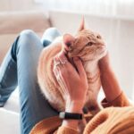 why-you-should-never-grab-cat-by-neck-getty-0623-7de228cf1857421899c021f693da9dfa